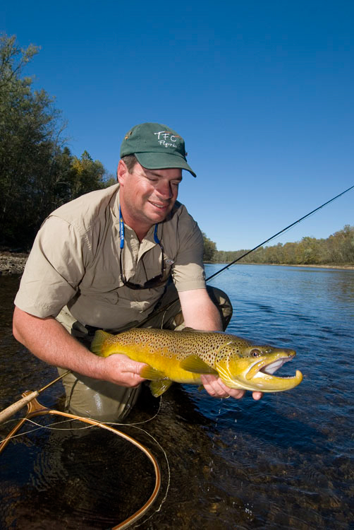 20071022184402_mikeverticalbigbrownsmall