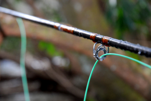 20070304200149_iceinguidessmall