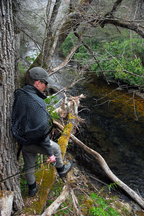 20070310221401_scoutingsmall