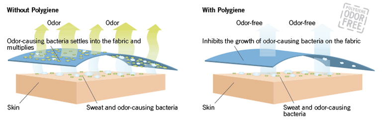 polygiene-illustration