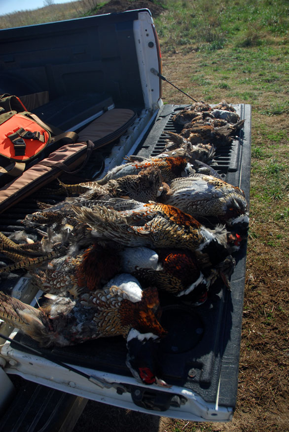 20101127084920_tailgatevertsmall.jpg